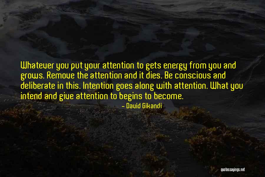 Ciaccio Accounting Quotes By David Gikandi Ciaccio Accounting Quotes By David Gikandi