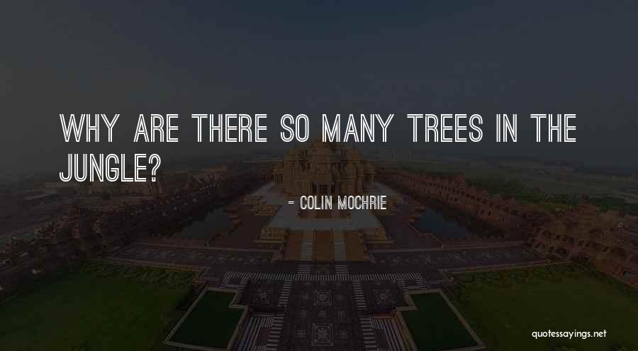 Cianciulli Arlene Quotes By Colin Mochrie Cianciulli Arlene Quotes By Colin Mochrie