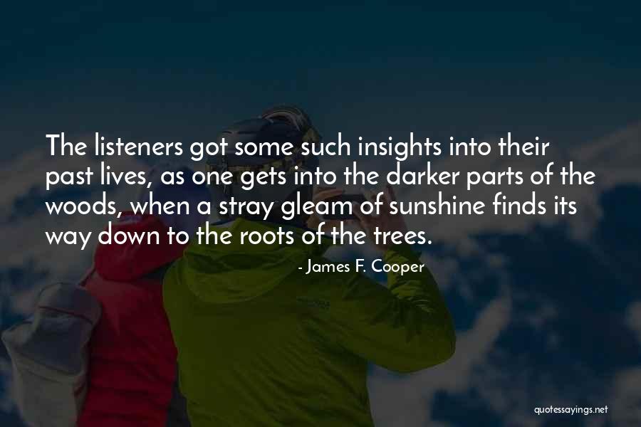 Ciaras Engagement Ring Quotes By James F. Cooper Ciaras Engagement Ring Quotes By James F. Cooper