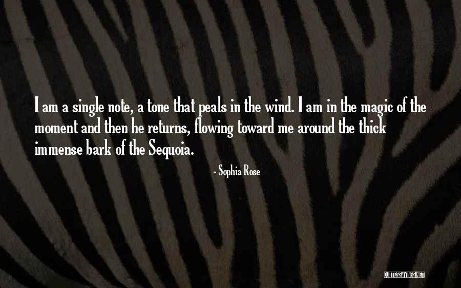 Ciaravino Md Quotes By Sophia Rose Ciaravino Md Quotes By Sophia Rose