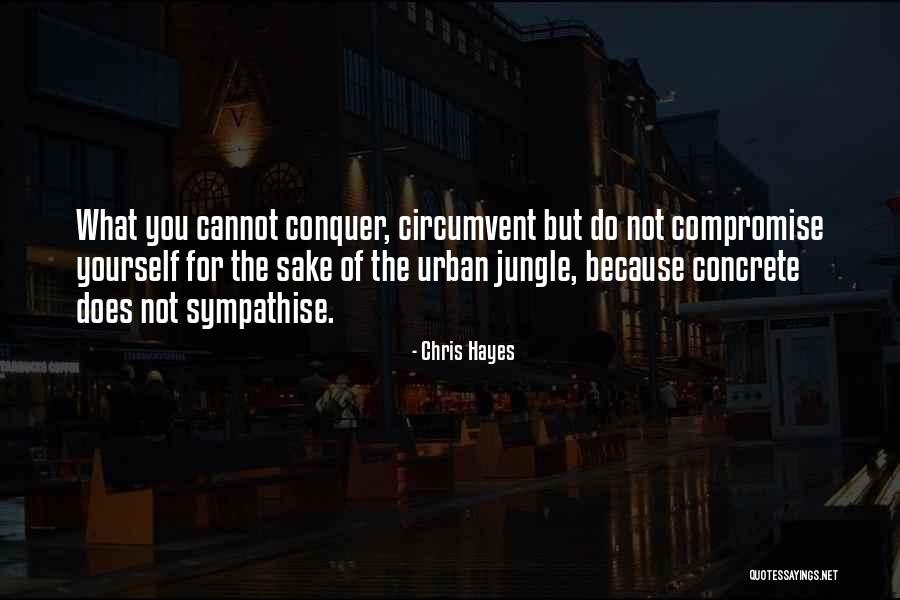 Ciarna Quotes By Chris Hayes Ciarna Quotes By Chris Hayes