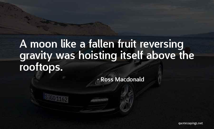 Ciasna Nastolatka Quotes By Ross Macdonald Ciasna Nastolatka Quotes By Ross Macdonald