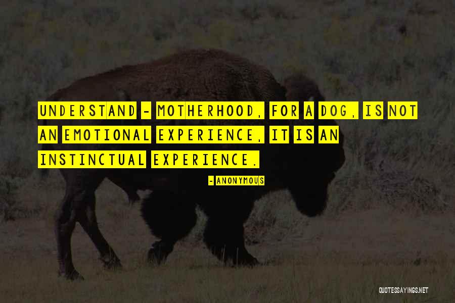 Cibrian Kids Quotes By Anonymous Cibrian Kids Quotes By Anonymous