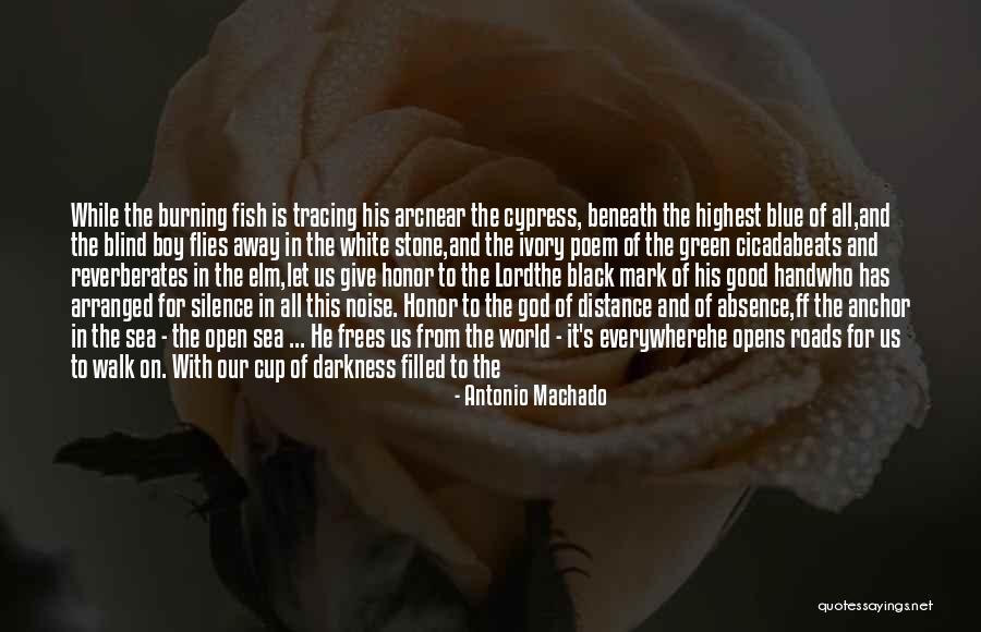 Cicada Noise Quotes By Antonio Machado Cicada Noise Quotes By Antonio Machado