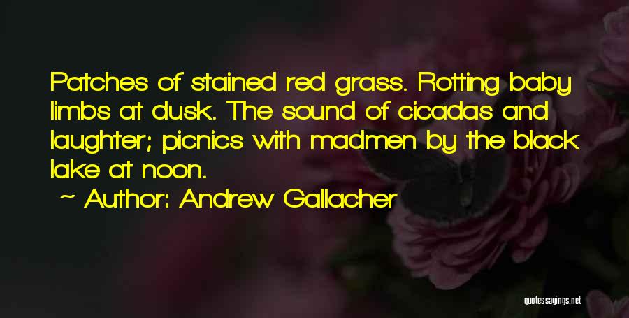 Cicadas Quotes By Andrew Gallacher