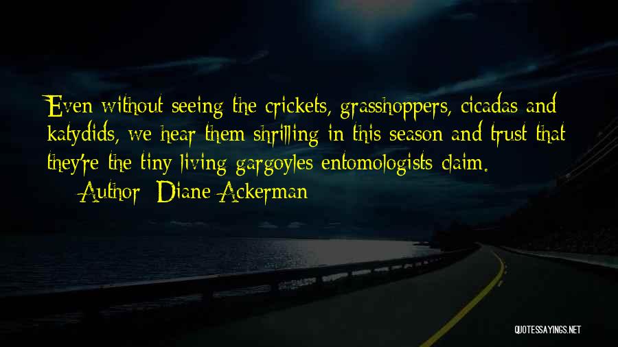 Cicadas Quotes By Diane Ackerman