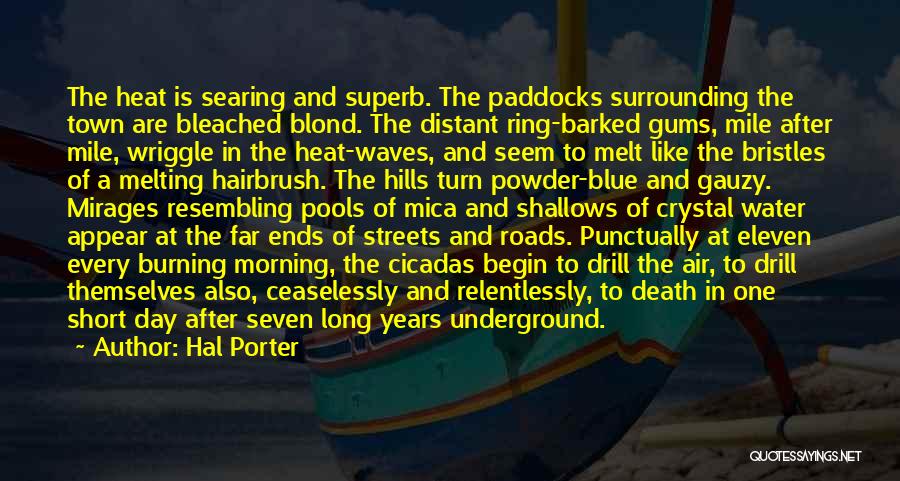 Cicadas Quotes By Hal Porter