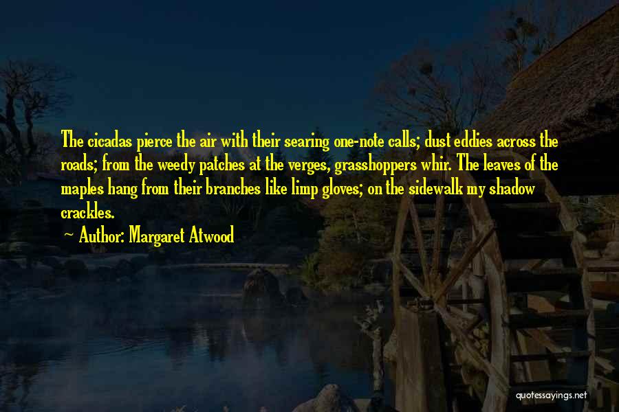 Cicadas Quotes By Margaret Atwood