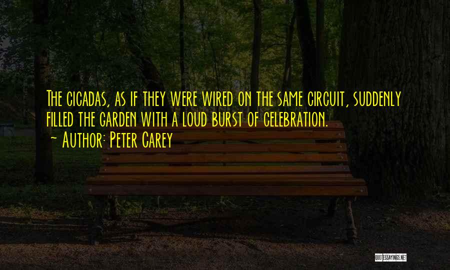 Cicadas Quotes By Peter Carey