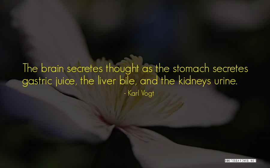 Cicala In English Quotes By Karl Vogt Cicala In English Quotes By Karl Vogt