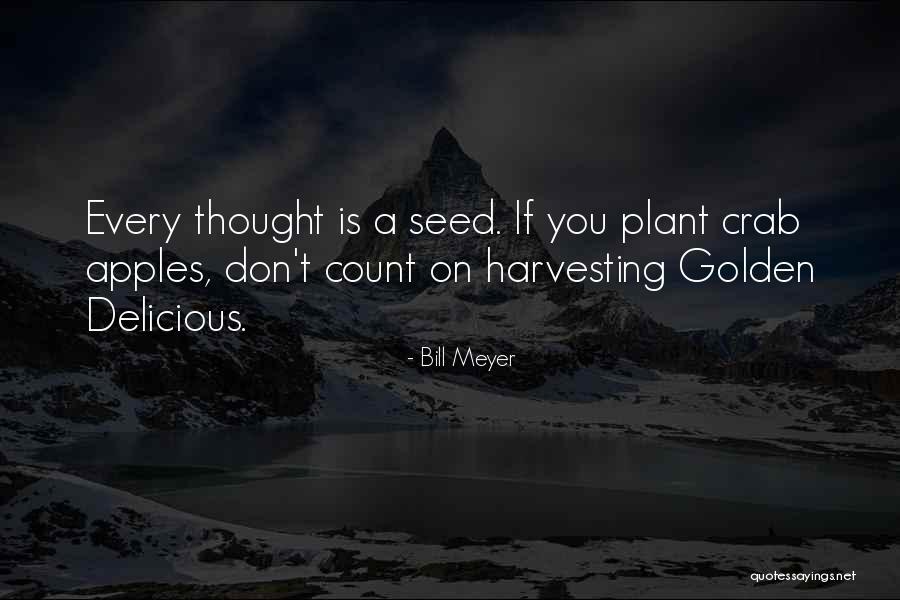 Cicatrices En Quotes By Bill Meyer Cicatrices En Quotes By Bill Meyer