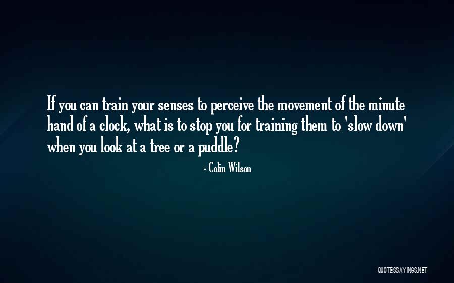 Cicatrix Formation Quotes By Colin Wilson Cicatrix Formation Quotes By Colin Wilson