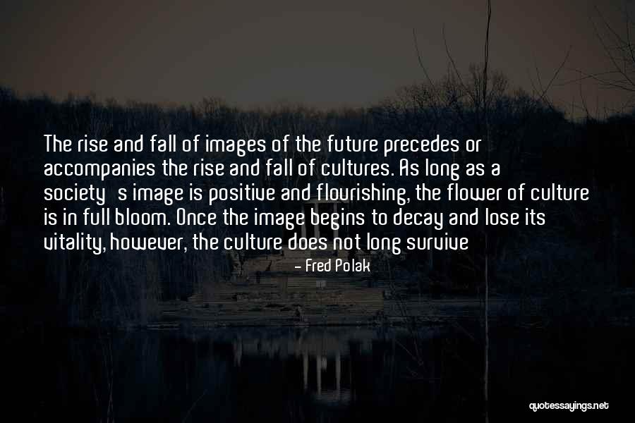 Ciccariello Maher Quotes By Fred Polak Ciccariello Maher Quotes By Fred Polak