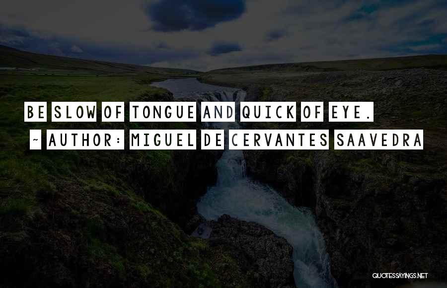Ciccarone Field Quotes By Miguel De Cervantes Saavedra Ciccarone Field Quotes By Miguel De Cervantes Saavedra