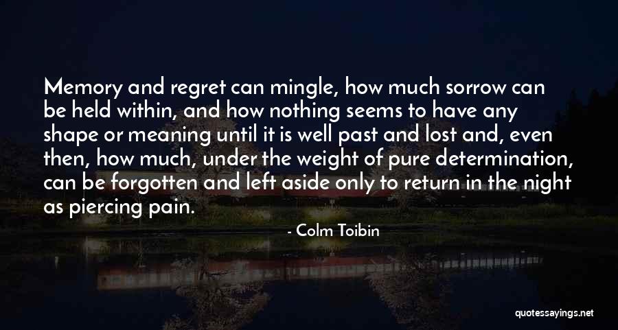 Ciccarone West Quotes By Colm Toibin Ciccarone West Quotes By Colm Toibin