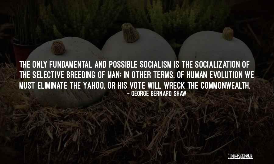 Ciccinos Pizzeria Quotes By George Bernard Shaw Ciccinos Pizzeria Quotes By George Bernard Shaw