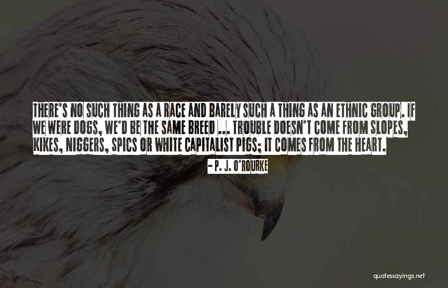 Ciccioni Restaurant Quotes By P. J. O'Rourke Ciccioni Restaurant Quotes By P. J. O'Rourke