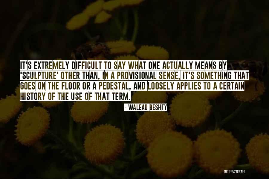 Ciccionis Lewisville Quotes By Walead Beshty Ciccionis Lewisville Quotes By Walead Beshty