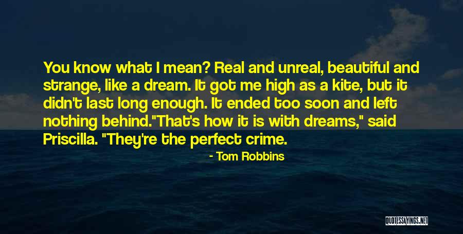 Cicelys Jazzy Quotes By Tom Robbins Cicelys Jazzy Quotes By Tom Robbins