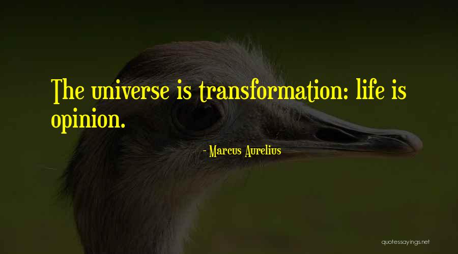 Cicetti Tel Quotes By Marcus Aurelius Cicetti Tel Quotes By Marcus Aurelius