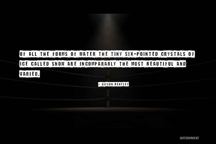 Cicio Porsche Quotes By Wilson Bentley Cicio Porsche Quotes By Wilson Bentley