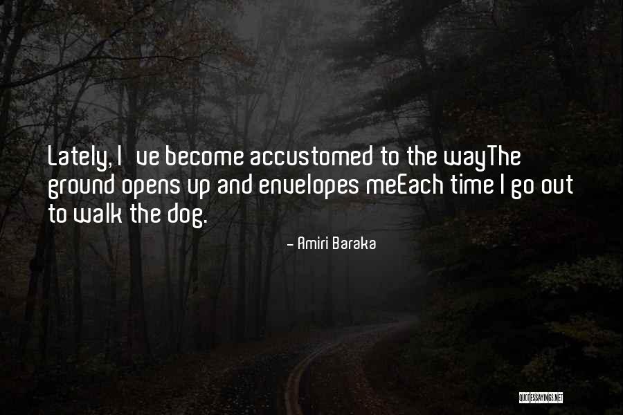 Cicione Quotes By Amiri Baraka Cicione Quotes By Amiri Baraka
