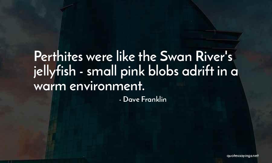 Cicolatino Quotes By Dave Franklin Cicolatino Quotes By Dave Franklin