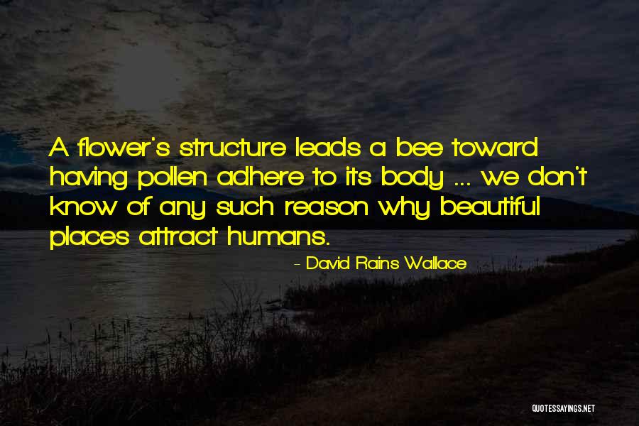 Cidado Associates Quotes By David Rains Wallace Cidado Associates Quotes By David Rains Wallace