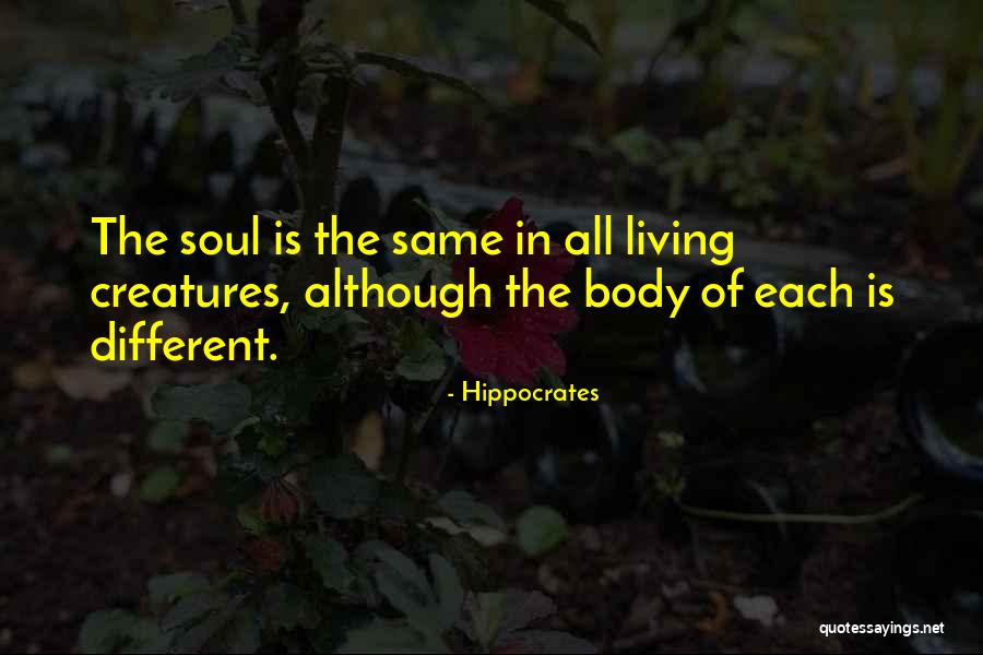 Ciegamente Significado Quotes By Hippocrates Ciegamente Significado Quotes By Hippocrates