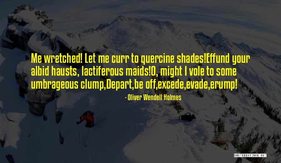 Ciegos Famosos Quotes By Oliver Wendell Holmes