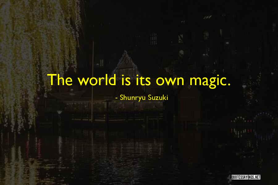 Ciengis Quotes By Shunryu Suzuki Ciengis Quotes By Shunryu Suzuki