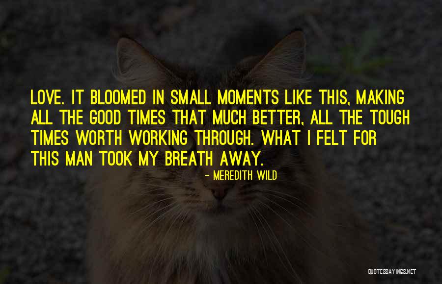 Cifuentes Landscaping Quotes By Meredith Wild Cifuentes Landscaping Quotes By Meredith Wild
