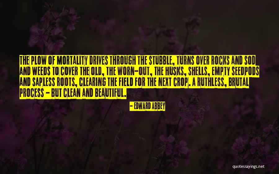 Cifuentes Villa Quotes By Edward Abbey Cifuentes Villa Quotes By Edward Abbey