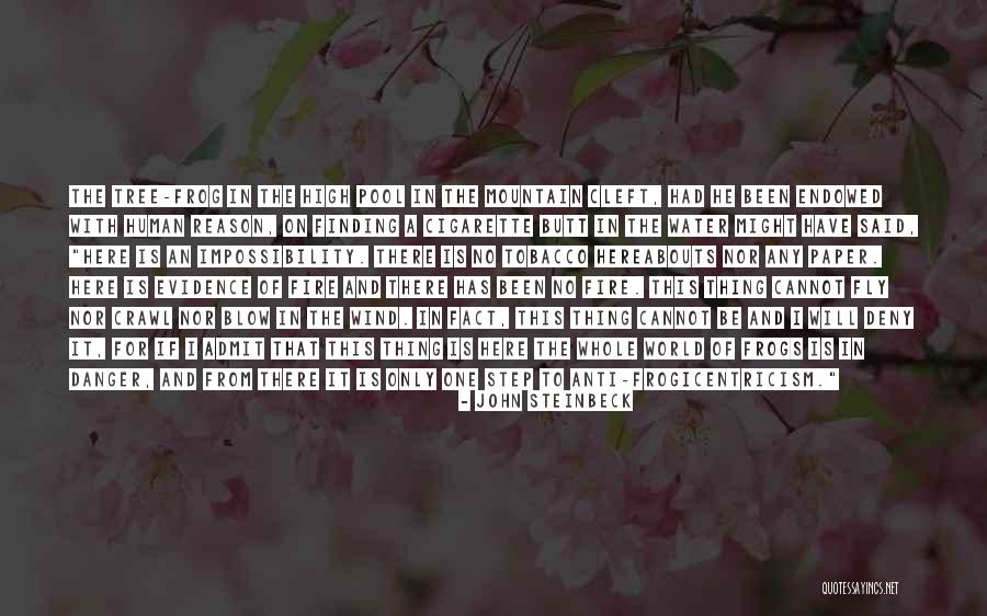Cigarette Quotes By John Steinbeck Cigarette Quotes By John Steinbeck