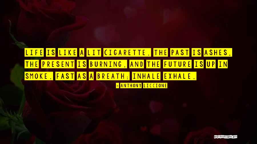 Cigarette Smoke Quotes By Anthony Liccione