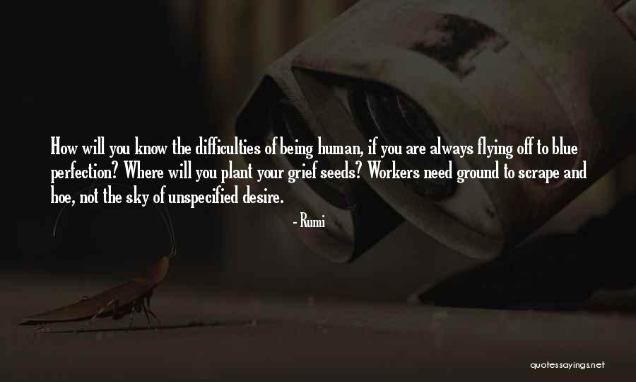 Cigars Money Quotes By Rumi Cigars Money Quotes By Rumi