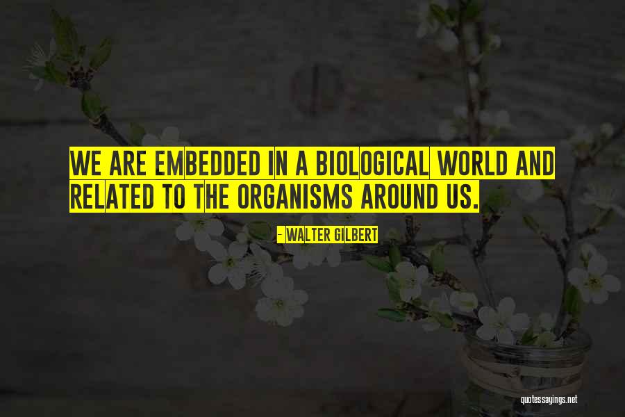 Cihangir Quotes By Walter Gilbert Cihangir Quotes By Walter Gilbert