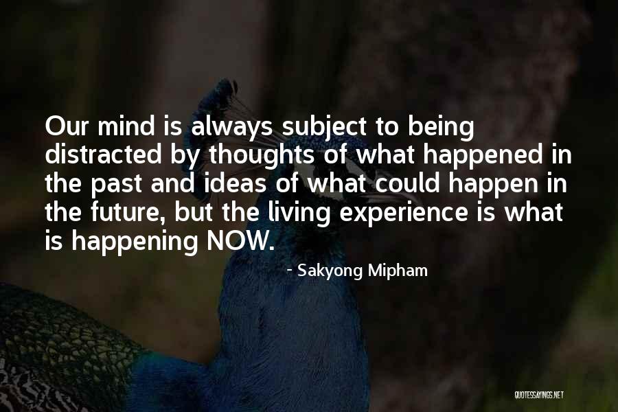 Cijilu Quotes By Sakyong Mipham Cijilu Quotes By Sakyong Mipham