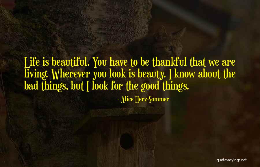 Cilhi Jpac Quotes By Alice Herz-Sommer Cilhi Jpac Quotes By Alice Herz-Sommer