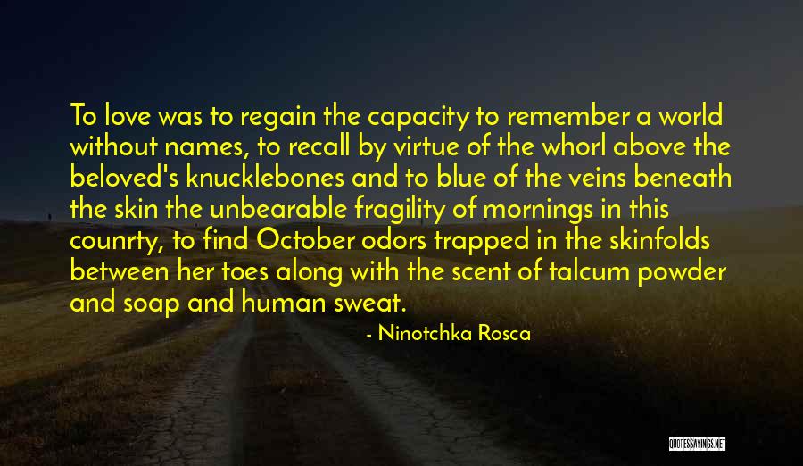Cimarosa Concerto Quotes By Ninotchka Rosca Cimarosa Concerto Quotes By Ninotchka Rosca