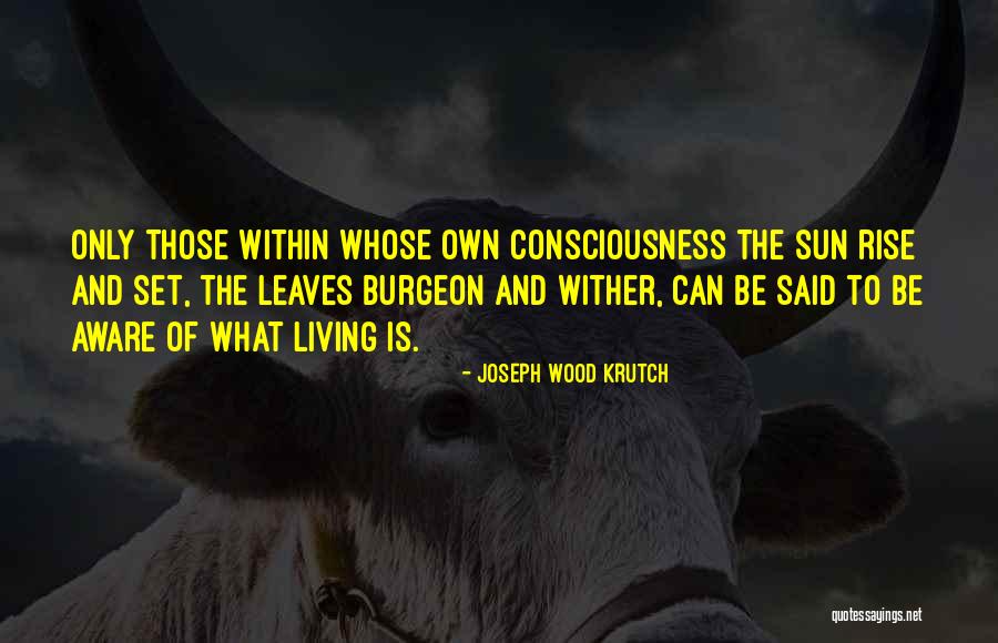 Cimpoi Youtube Quotes By Joseph Wood Krutch Cimpoi Youtube Quotes By Joseph Wood Krutch