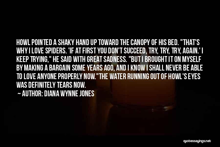 Cincia Bigia Quotes By Diana Wynne Jones