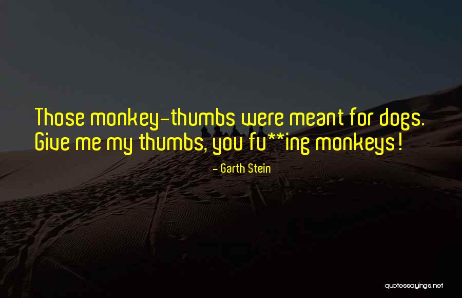 Cincis Romania Quotes By Garth Stein Cincis Romania Quotes By Garth Stein