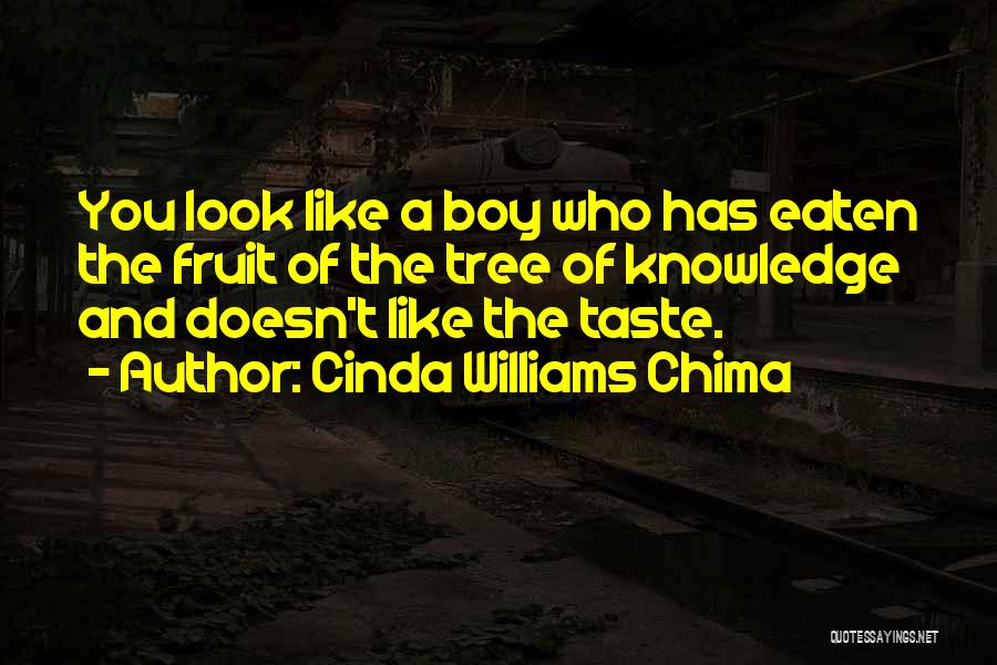 Cinda Williams Chima Quotes 1070160