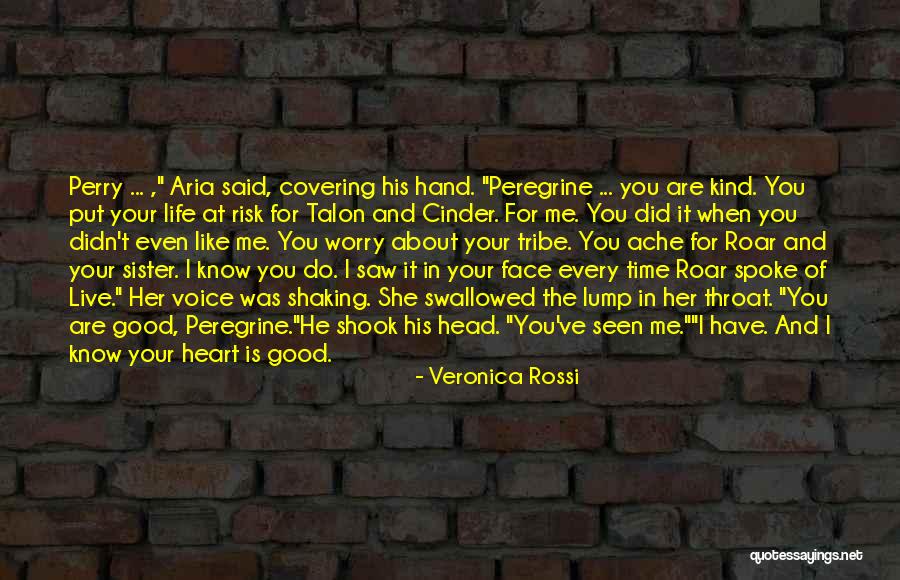 Cinder Life Quotes By Veronica Rossi Cinder Life Quotes By Veronica Rossi