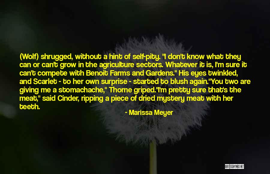 Cinder Love Quotes By Marissa Meyer Cinder Love Quotes By Marissa Meyer
