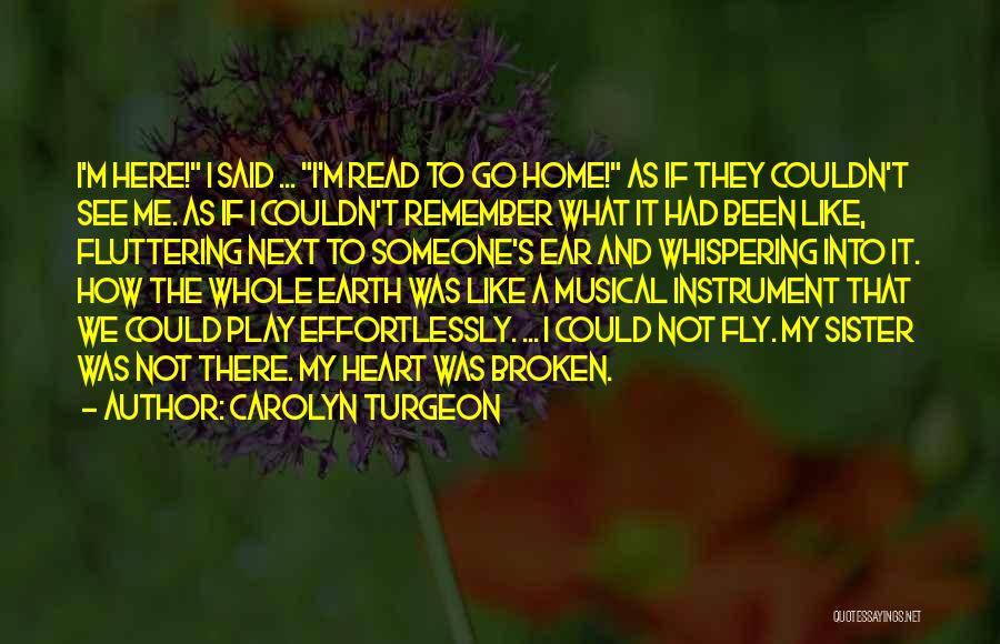 Cinderella Fairy Godmother Quotes By Carolyn Turgeon