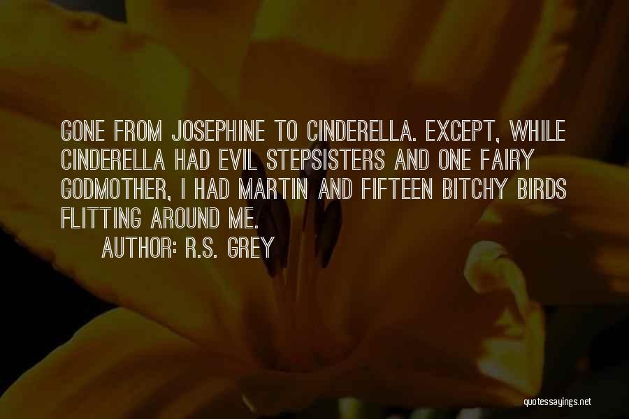 Cinderella Fairy Godmother Quotes By R.S. Grey