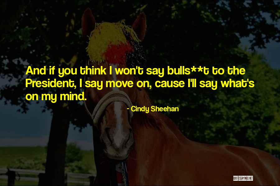 Cindy Sheehan Quotes 1213373 Cindy Sheehan Quotes 1213373