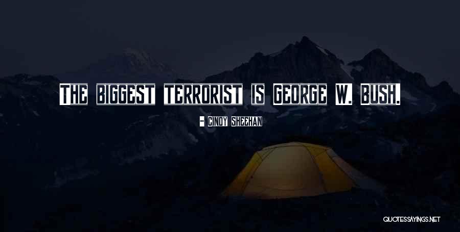 Cindy Sheehan Quotes 1304290 Cindy Sheehan Quotes 1304290